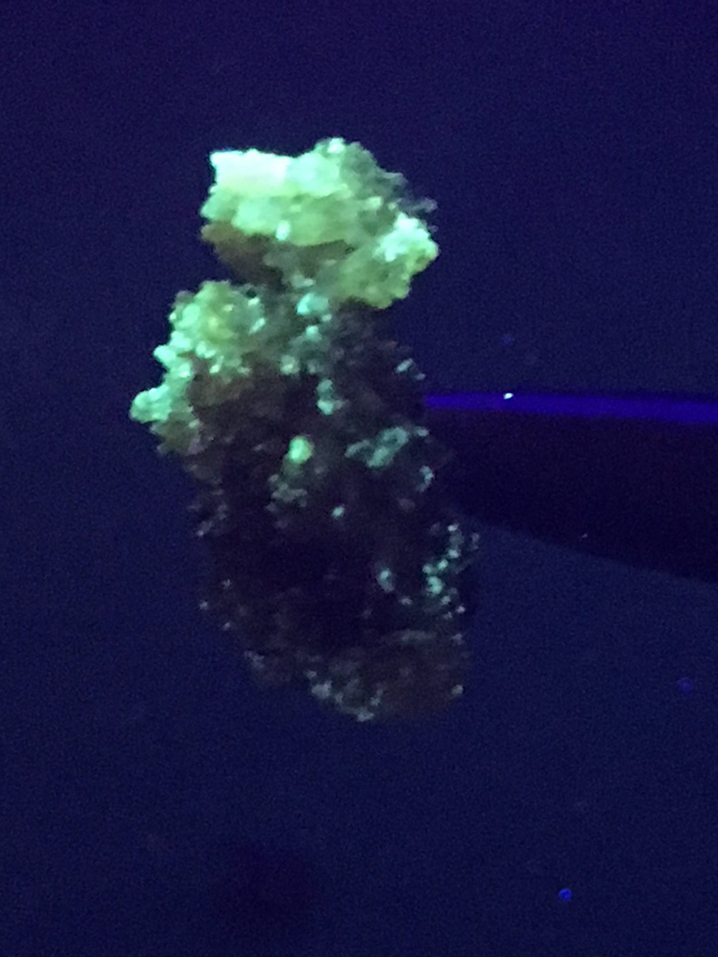 4.3g Orange Yellow Zincite from Poland