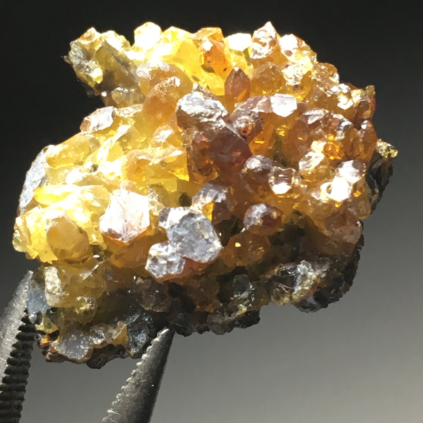 1.25" Zincite