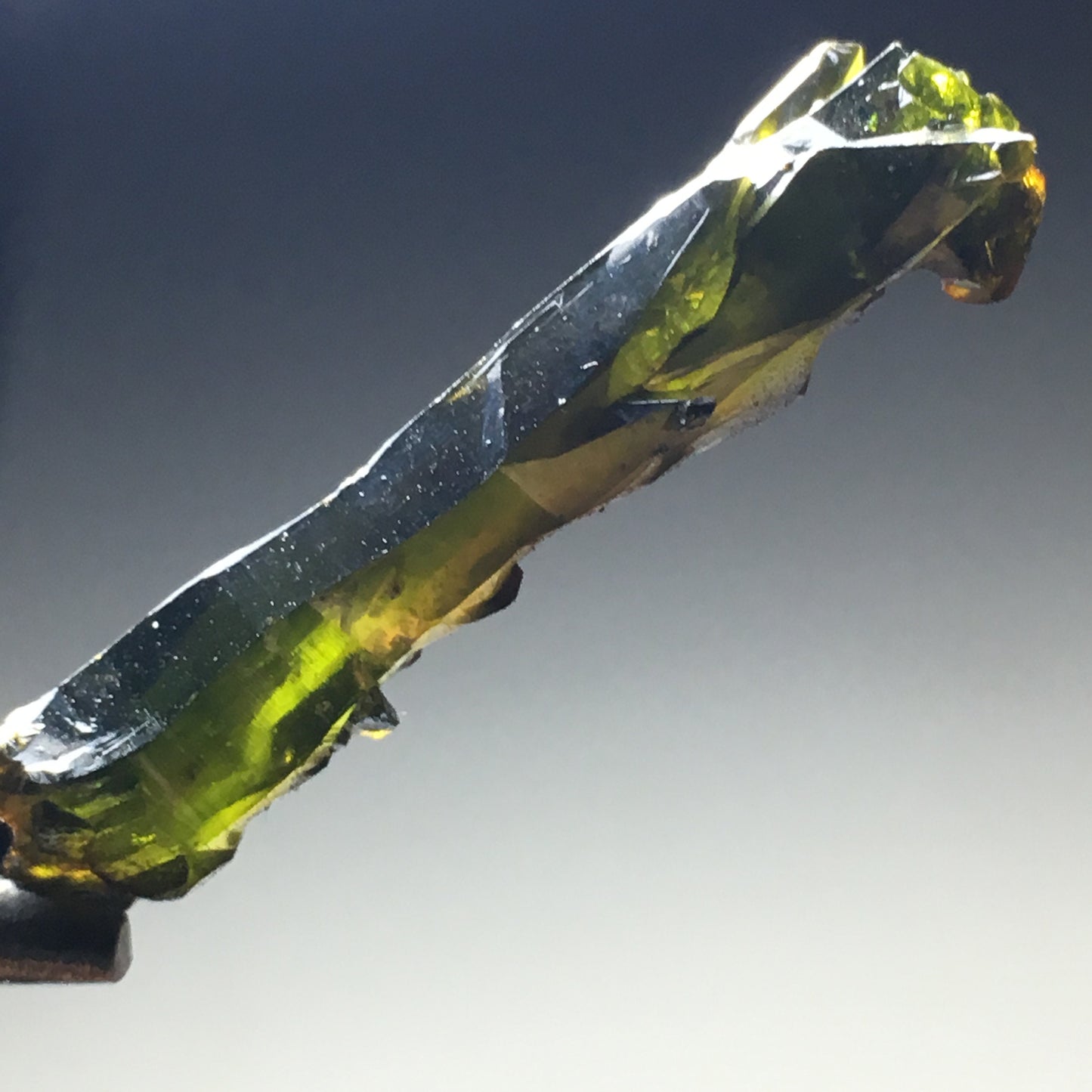 1 3/8" Deep Green Multicolor Zincite