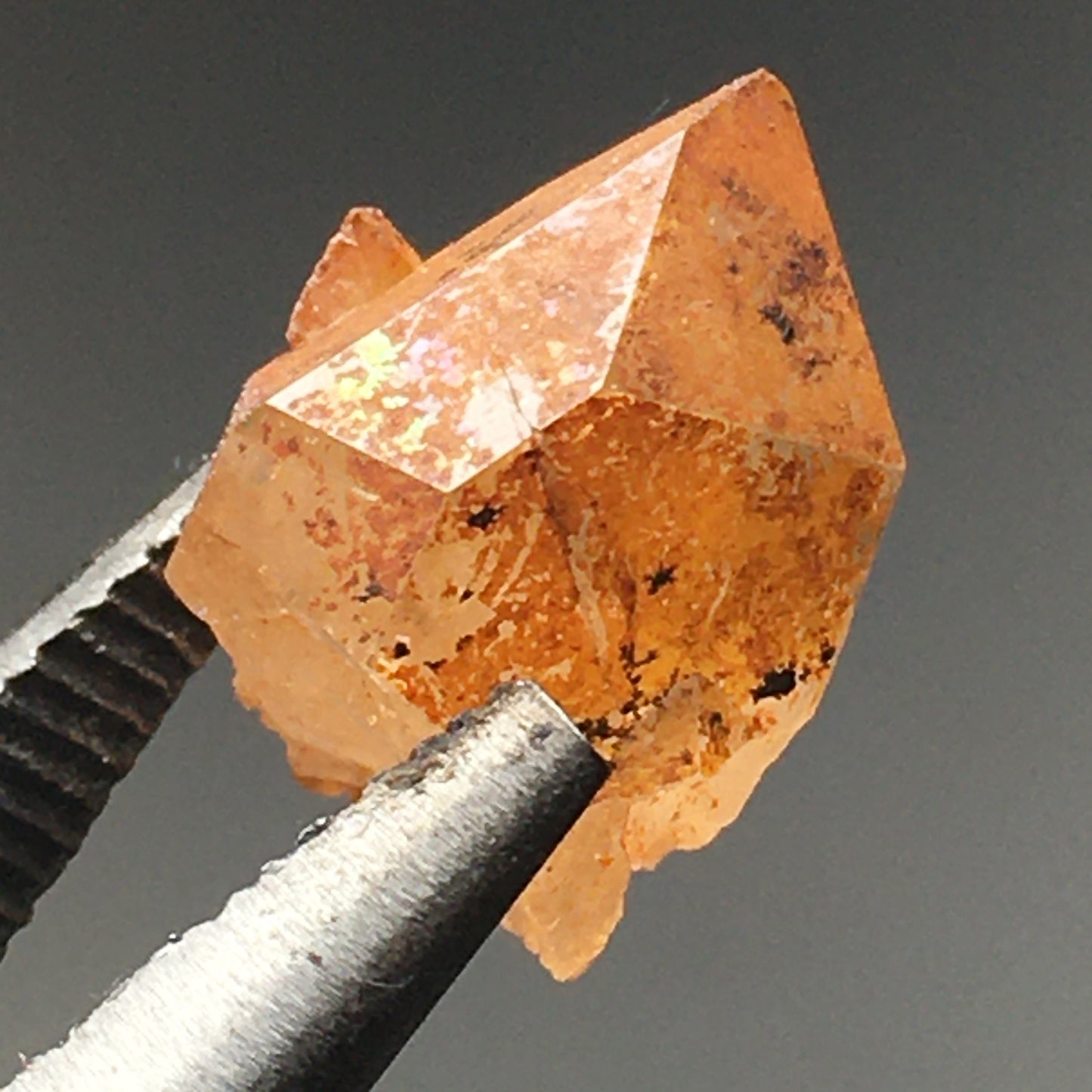 Terminated Golden Healer Quartz Cluster from Arkansas