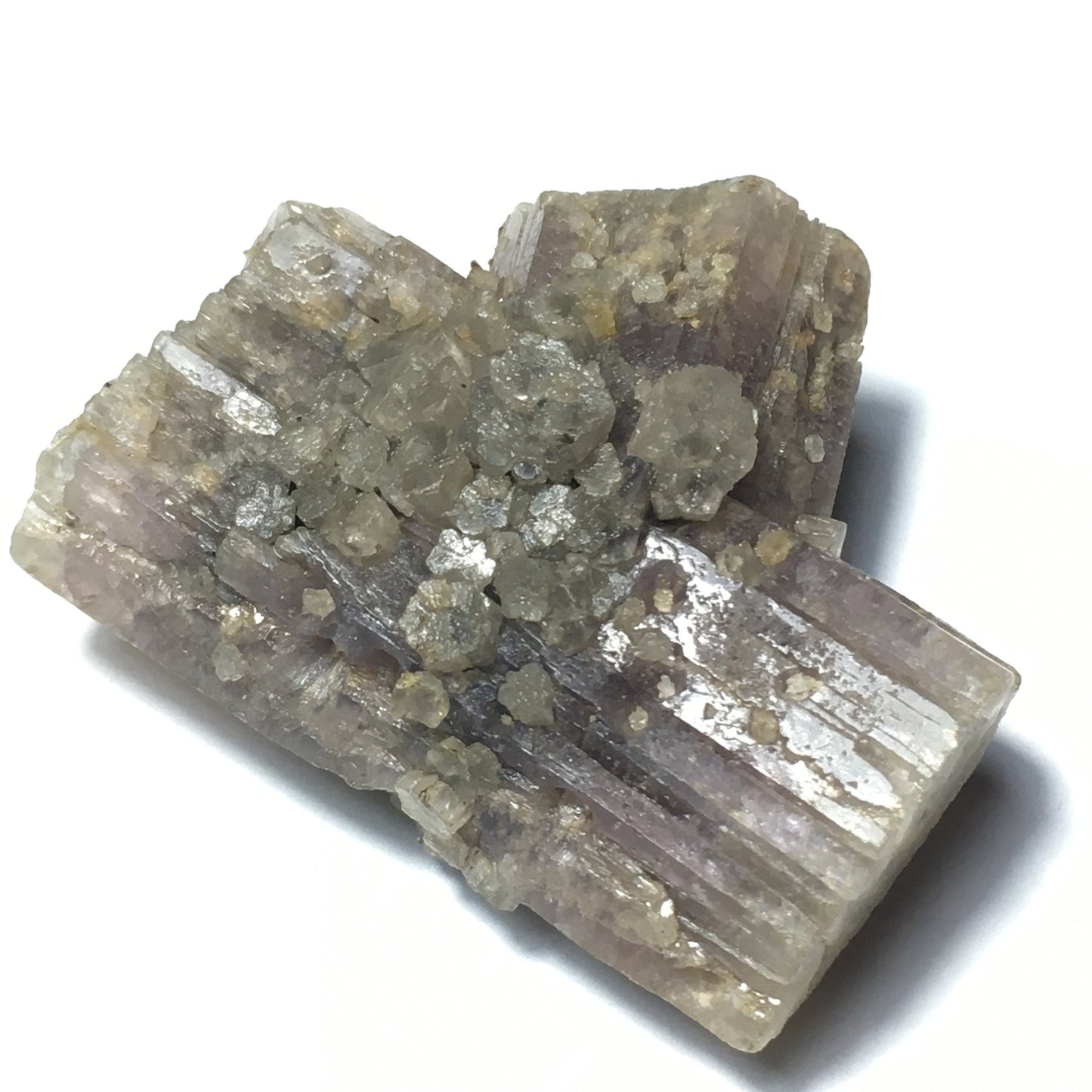 Purple Aragonite