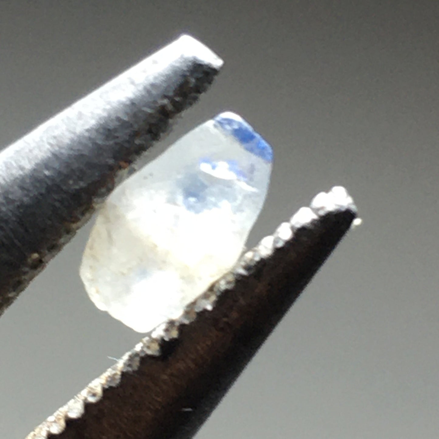 Lot of Ceylon Sapphires 2.39 ct