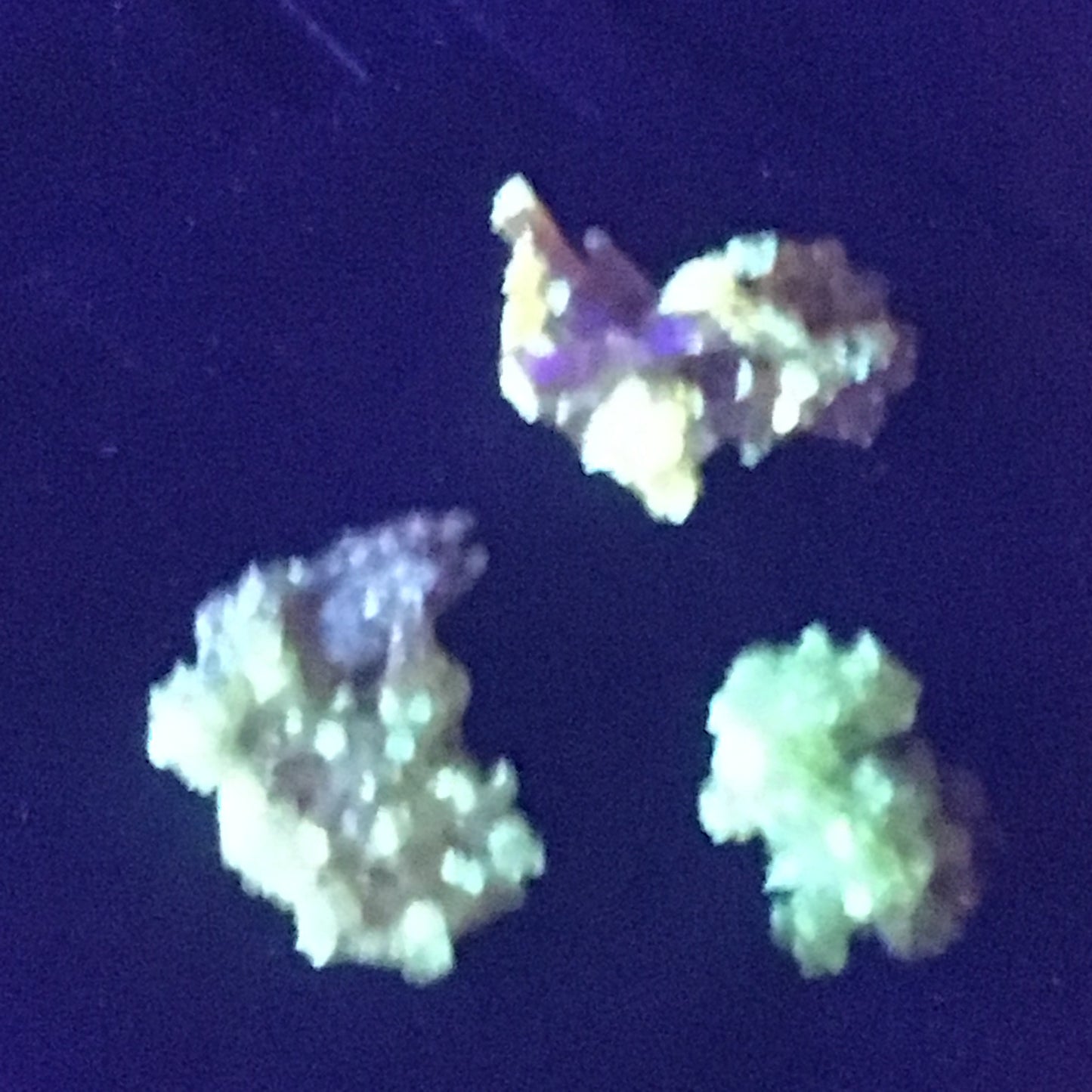 Perfectly matched set of 3 Gemmy Zincite Clusters (Red Green Yellow)