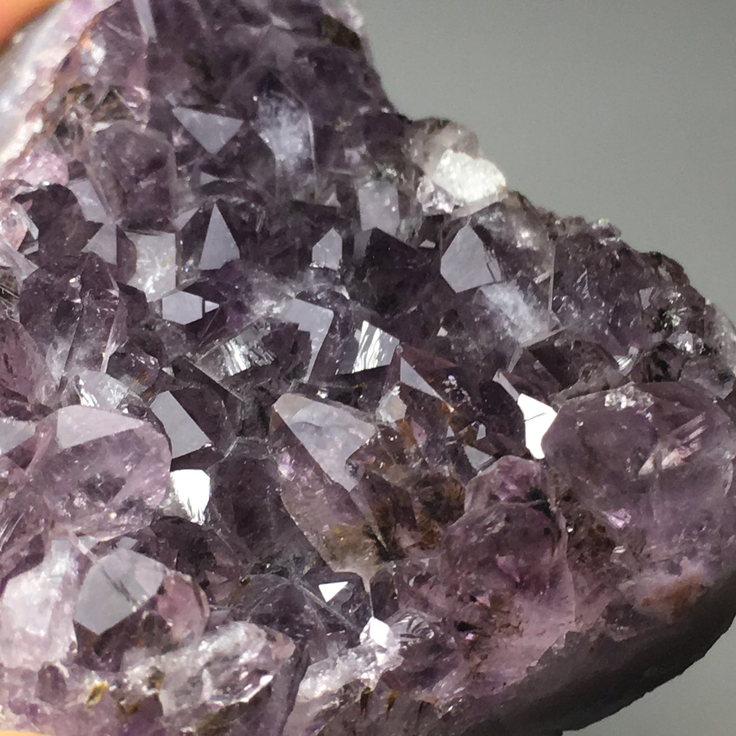 Amethyst Cluster