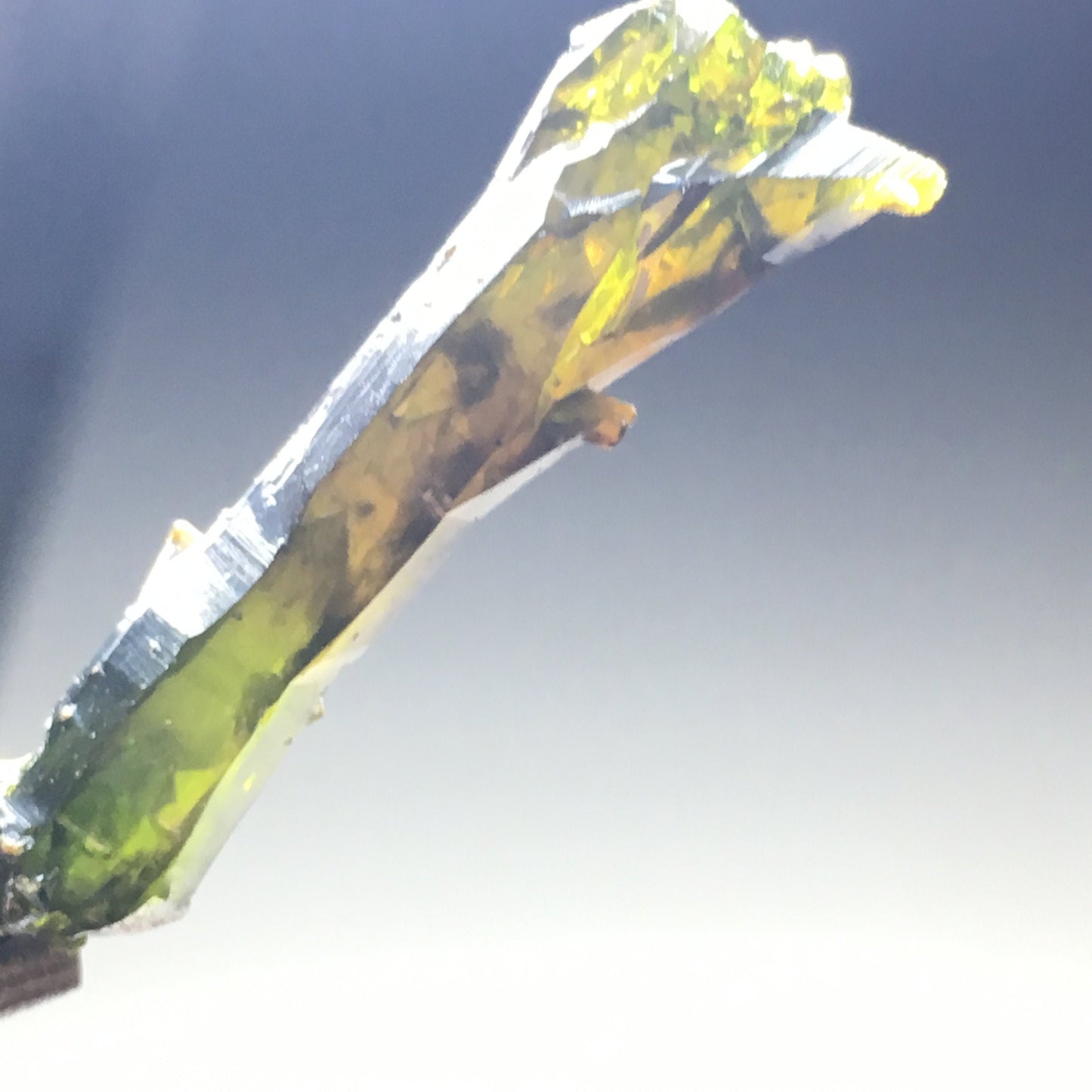 1 3/8" Deep Green Multicolor Zincite