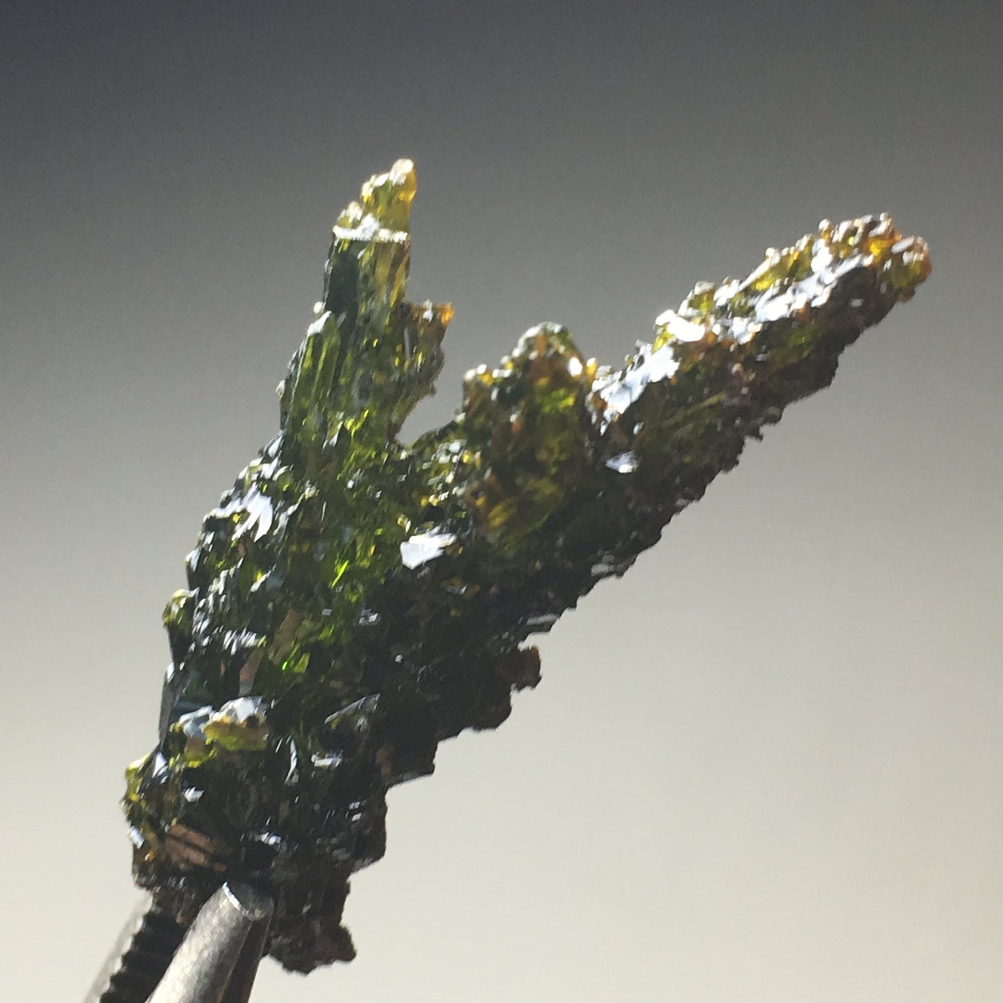 Nice Green Terminated Zincite Crystal