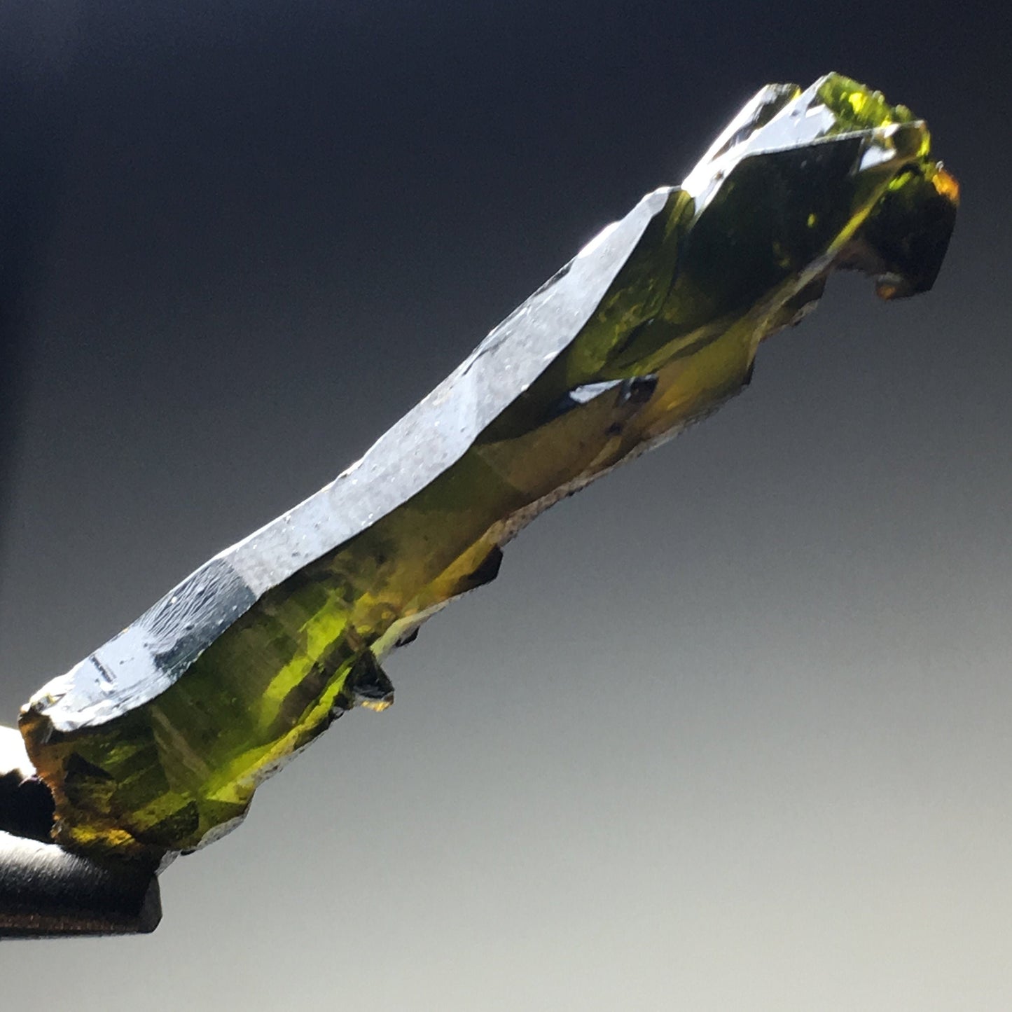 1 3/8" Deep Green Multicolor Zincite