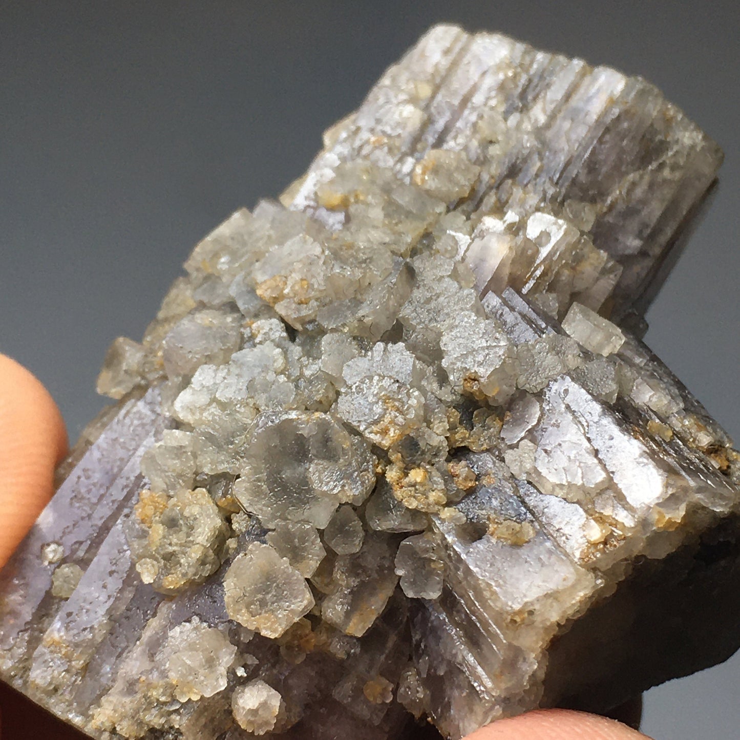 Purple Aragonite