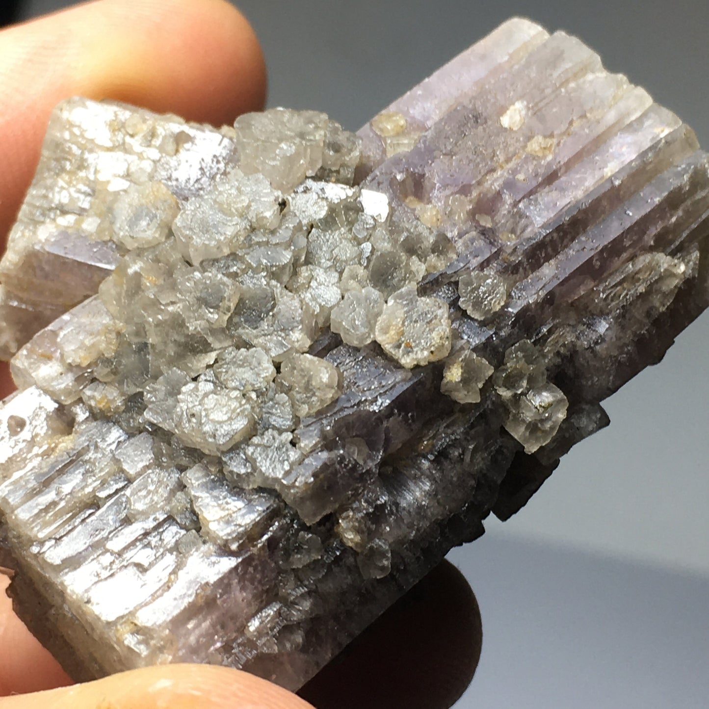 Purple Aragonite