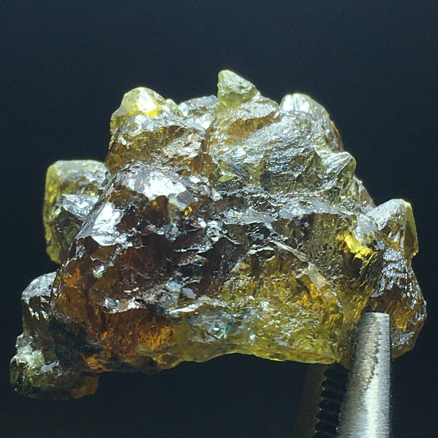 1.25 Inch Hollow Zincite Barnacle