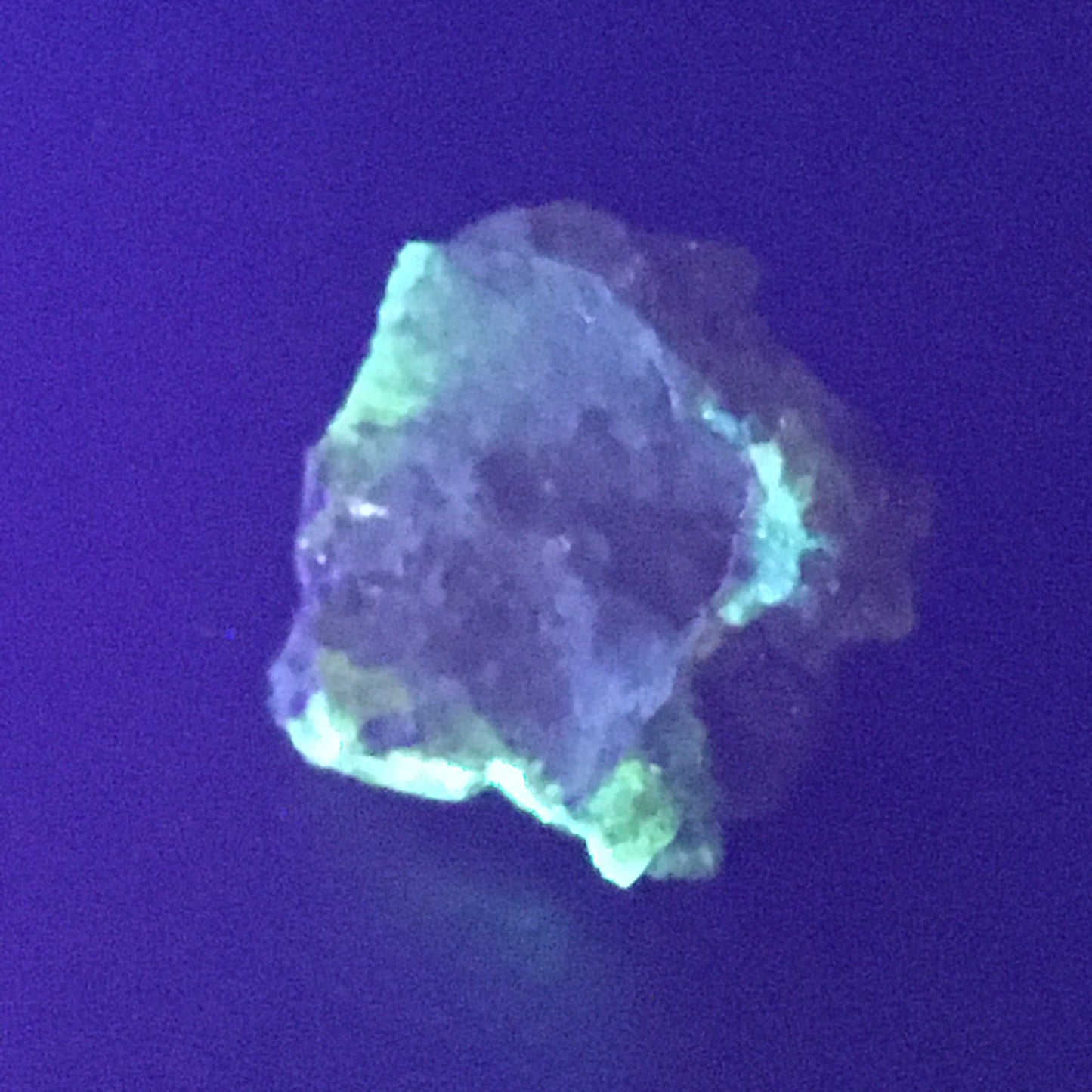 1.25 Inch Hollow Zincite Barnacle