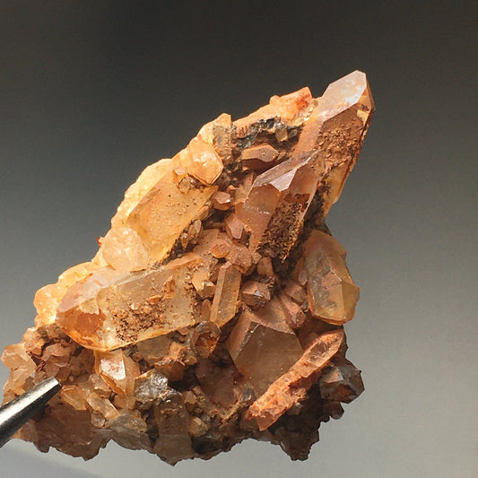2.5 Inch Golden Healer Quartz Cluster from Arkansas