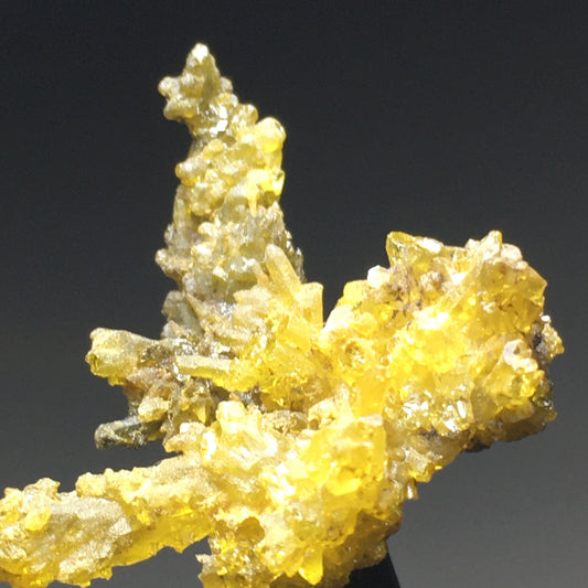11.7 gram Yellow Orange Zincite cluster