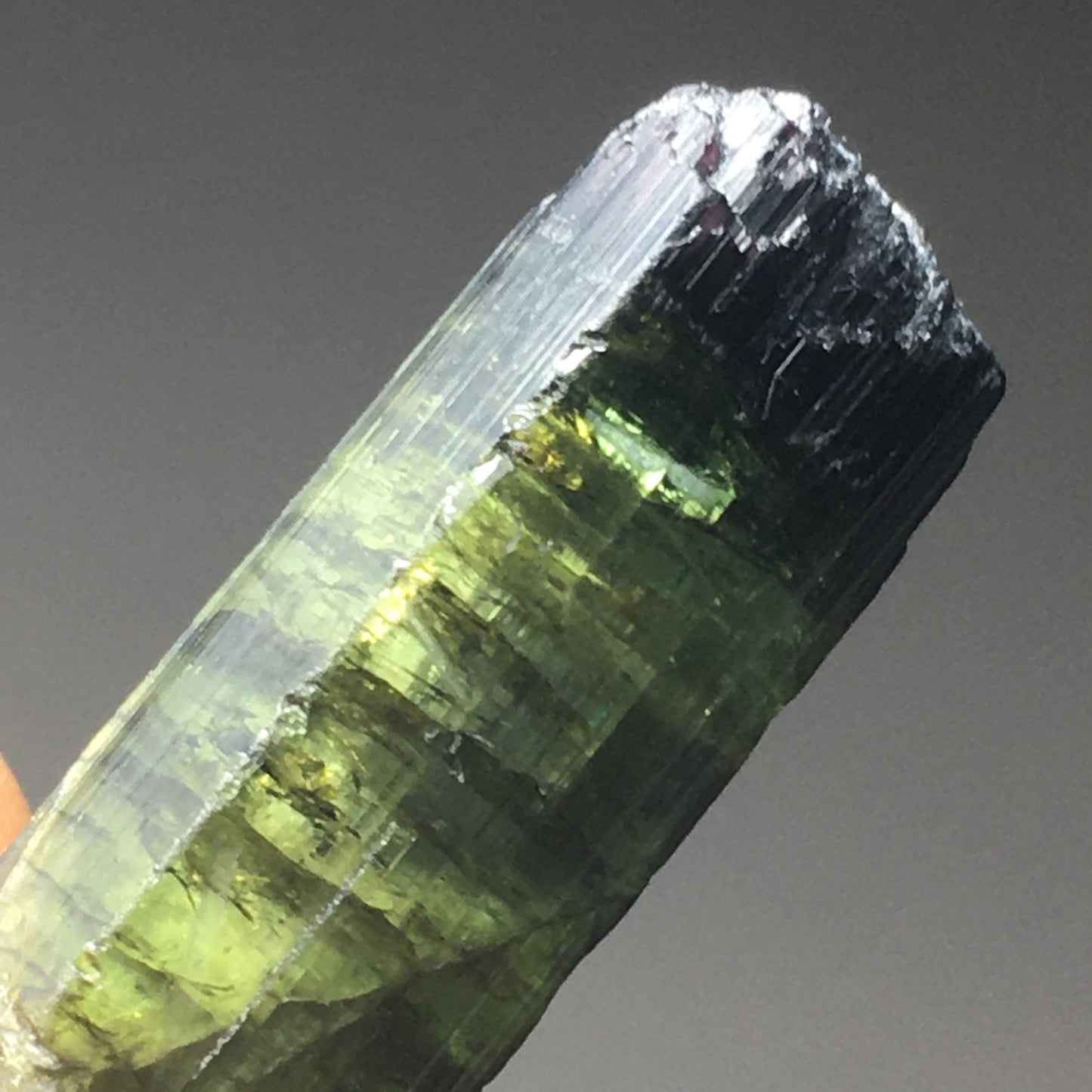 Black Cap Green Tourmaline 26.7ct