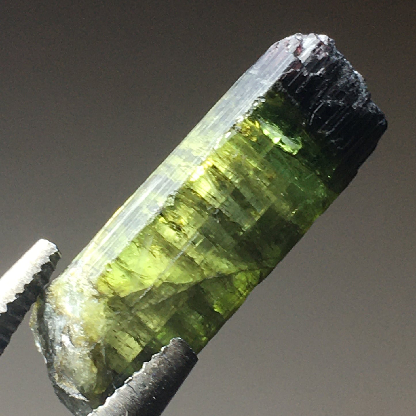 Black Cap Green Tourmaline 26.7ct