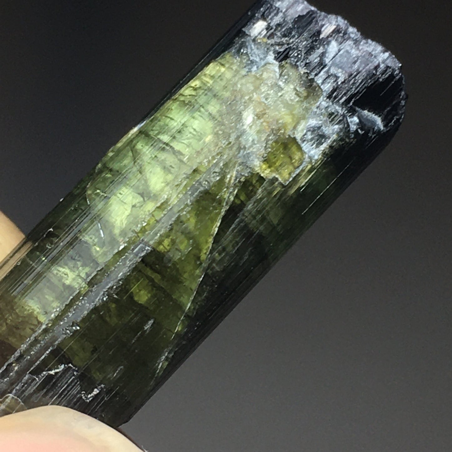 Black Cap Green Tourmaline 26.7ct