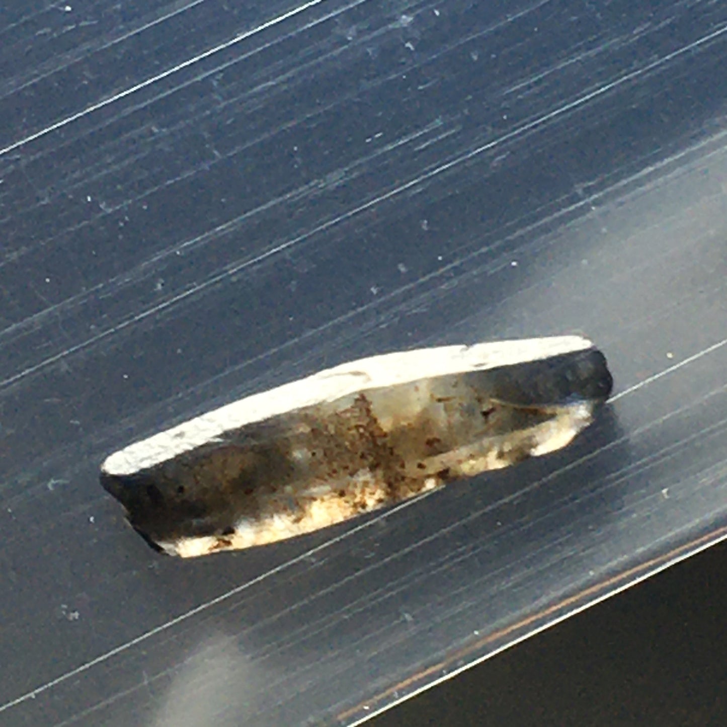 Multi-color White and Blue Ceylon Sapphire Natural Untreated Formation 1ct