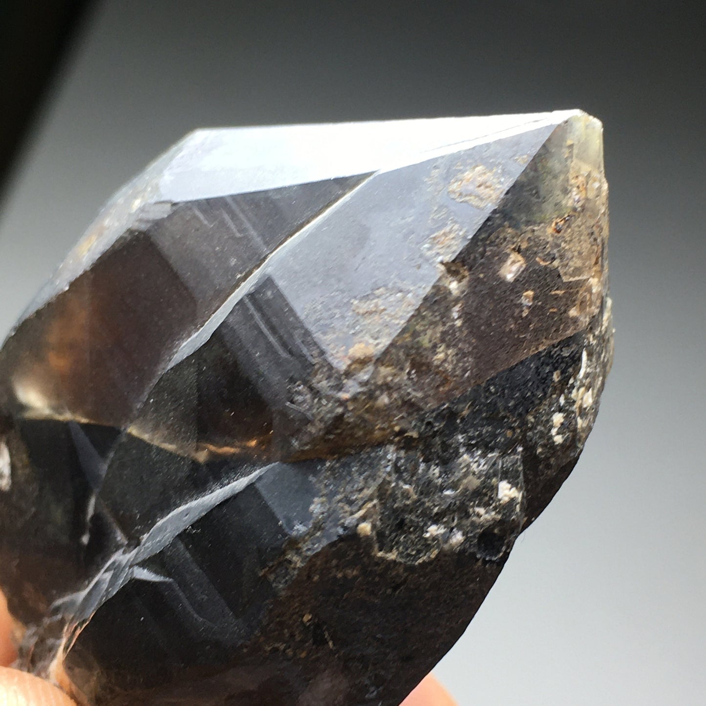 Amazing Smoky Quartz Point