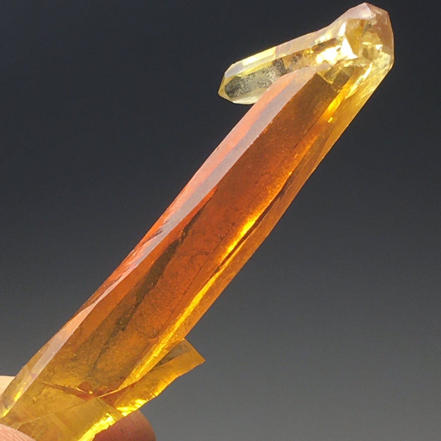 GIANT Orange and Yellow Multi Terminated Zincite Crystal Point