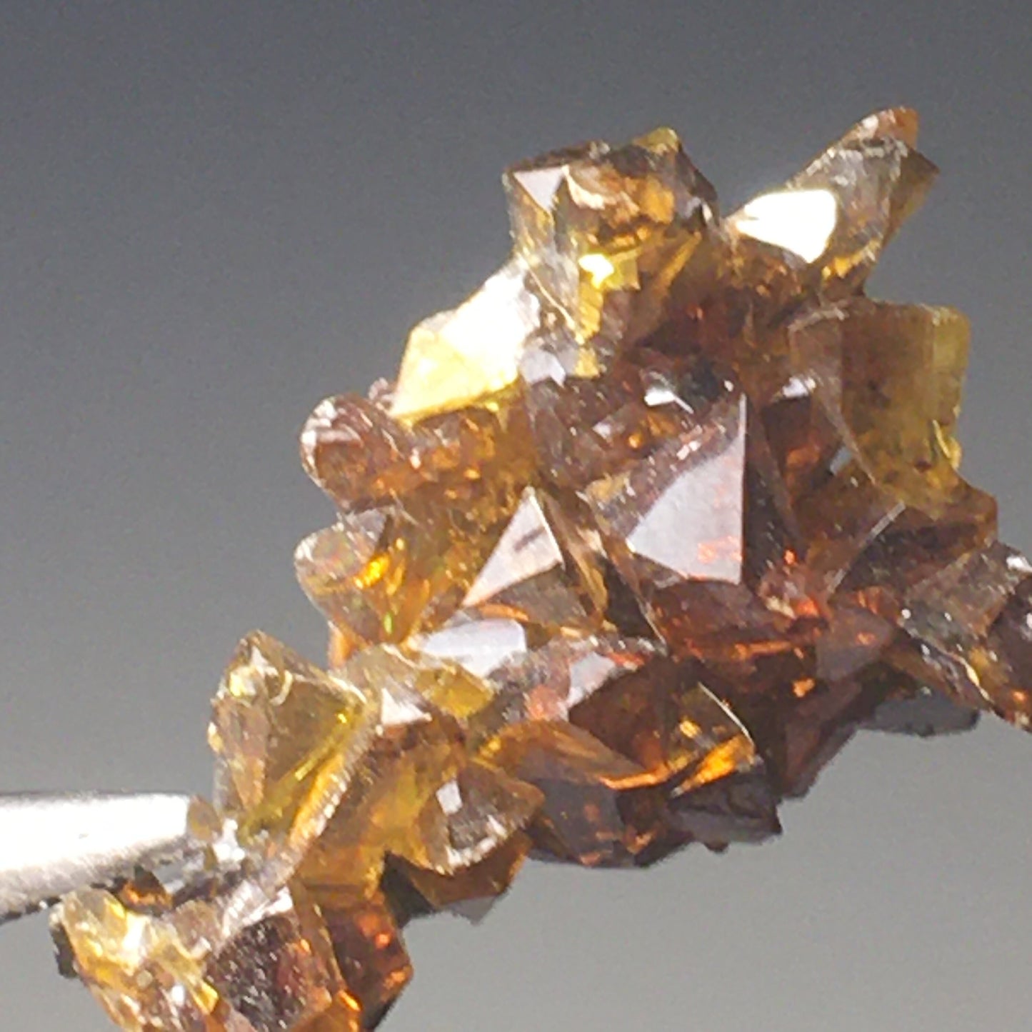 Gemmy Terminated Red Yellow Orange Zincite Cluster
