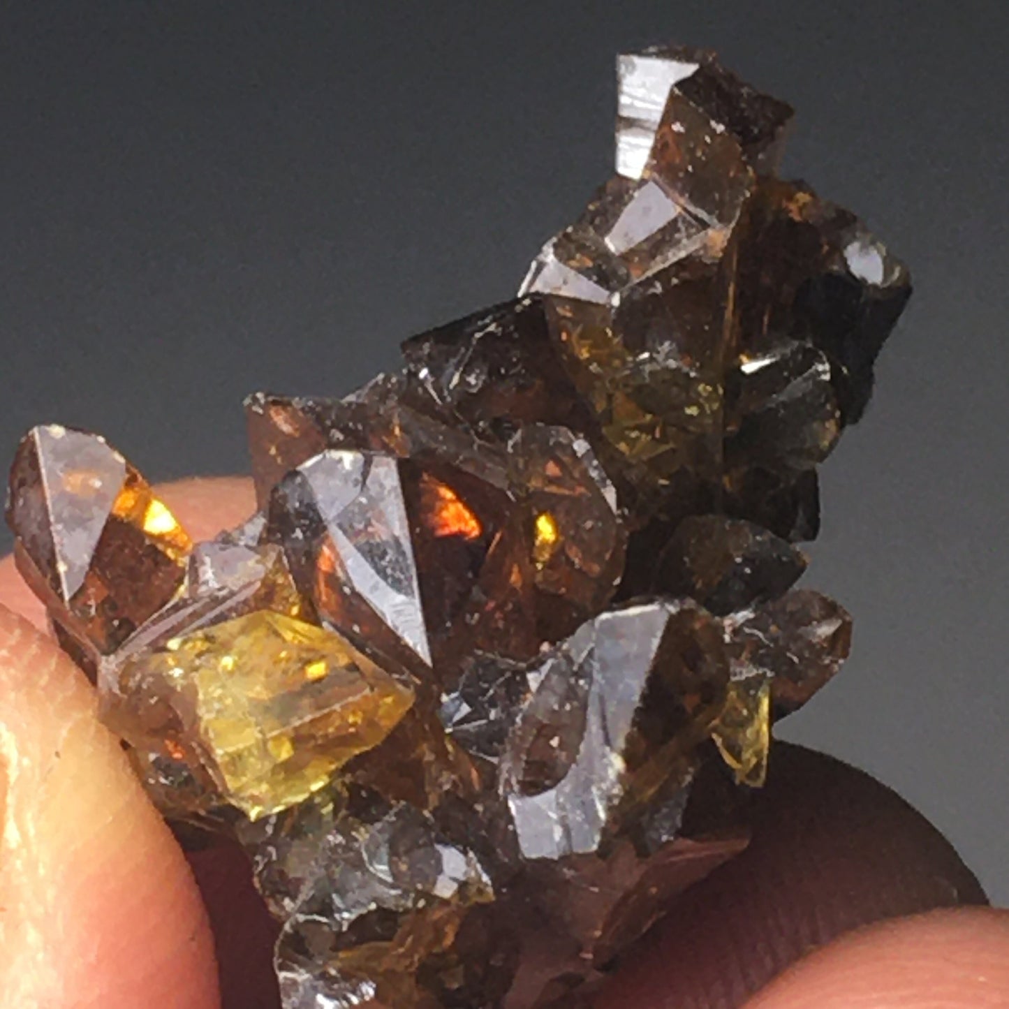 Gemmy Terminated Red Yellow Orange Zincite Cluster