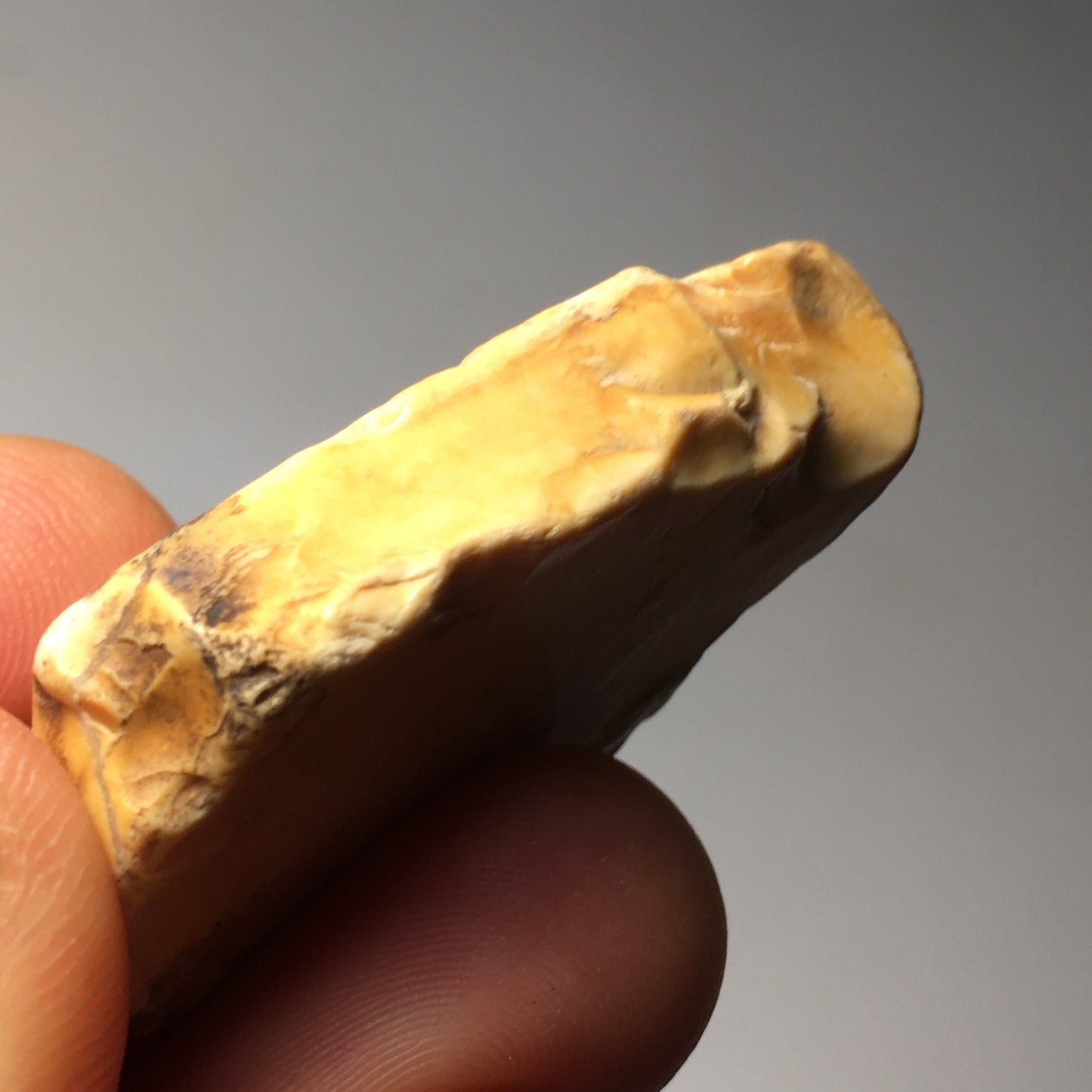 Picture Jasper