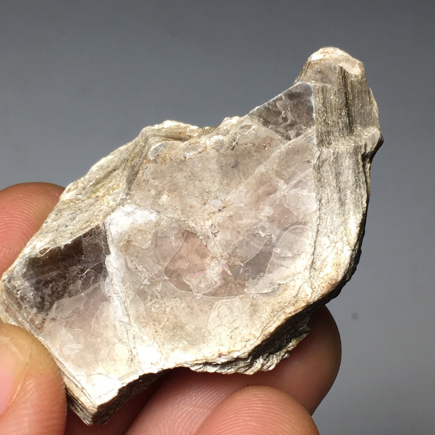 Muscovite