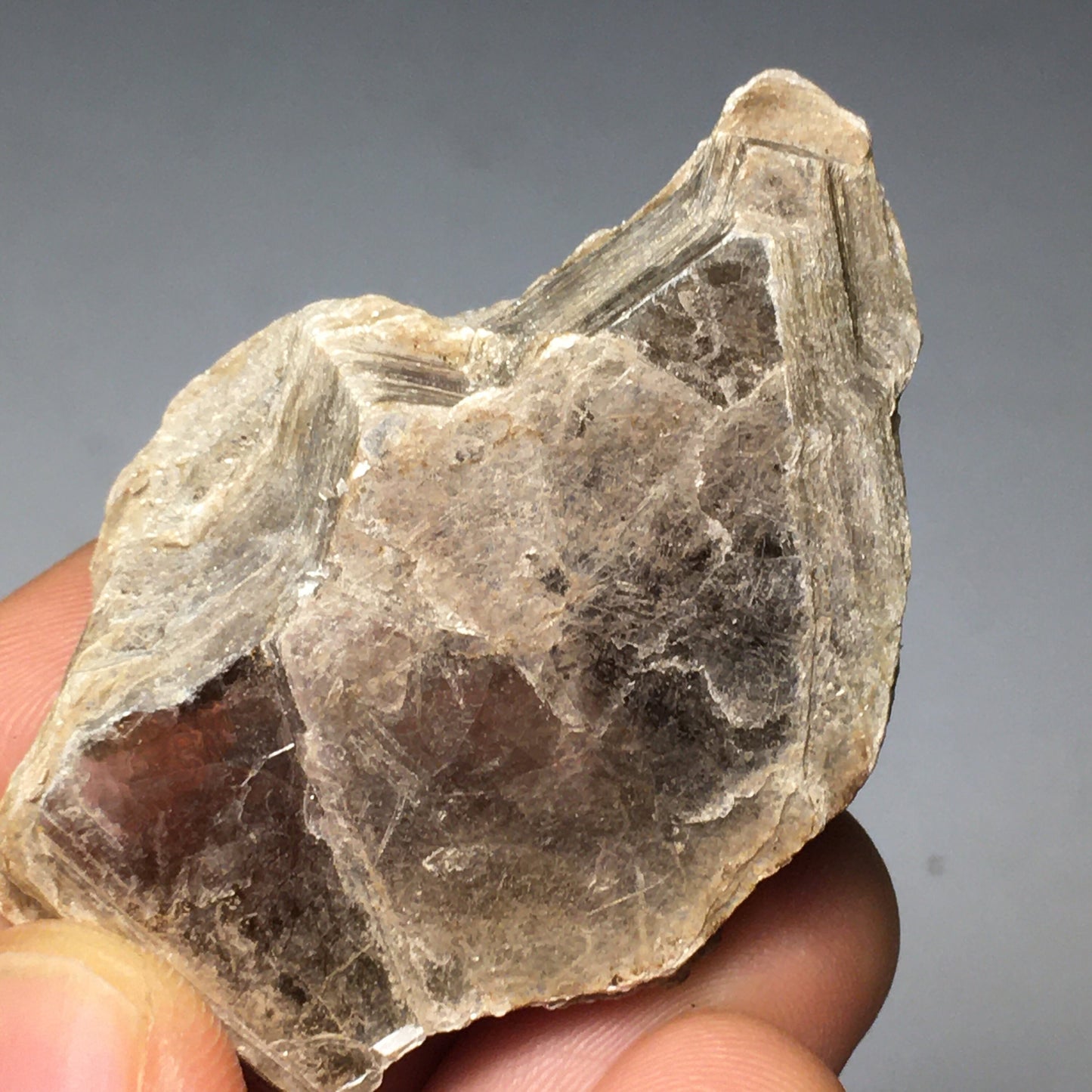 Muscovite