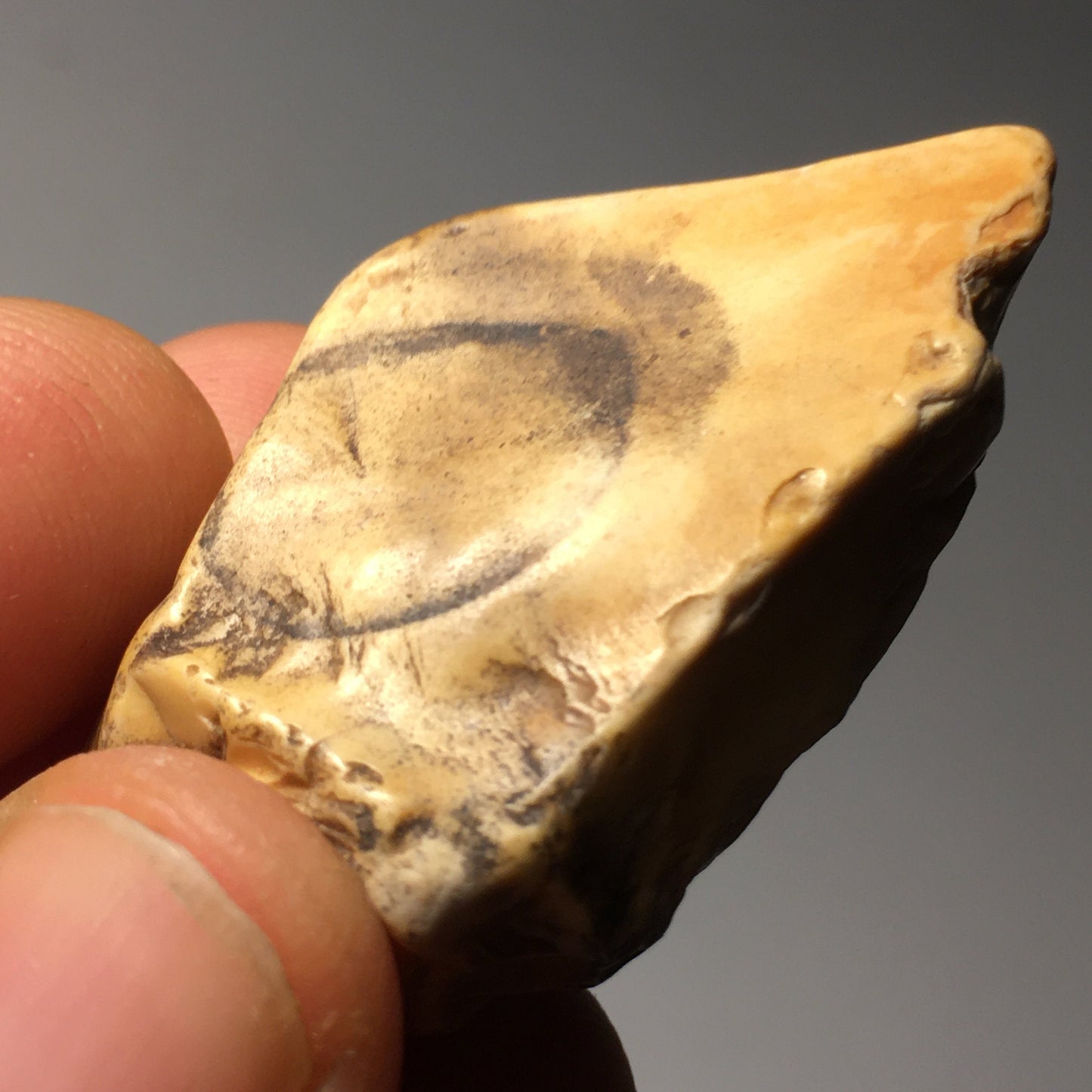 Picture Jasper