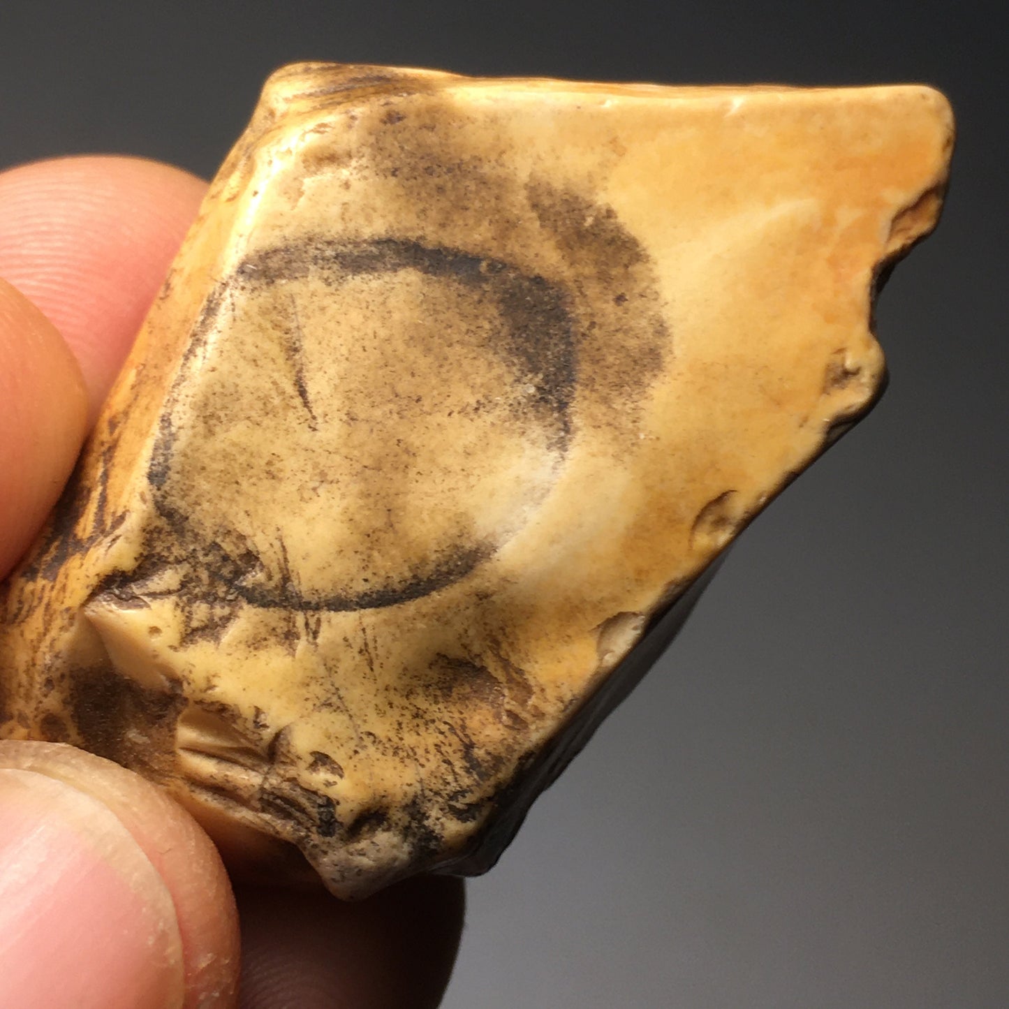 Picture Jasper