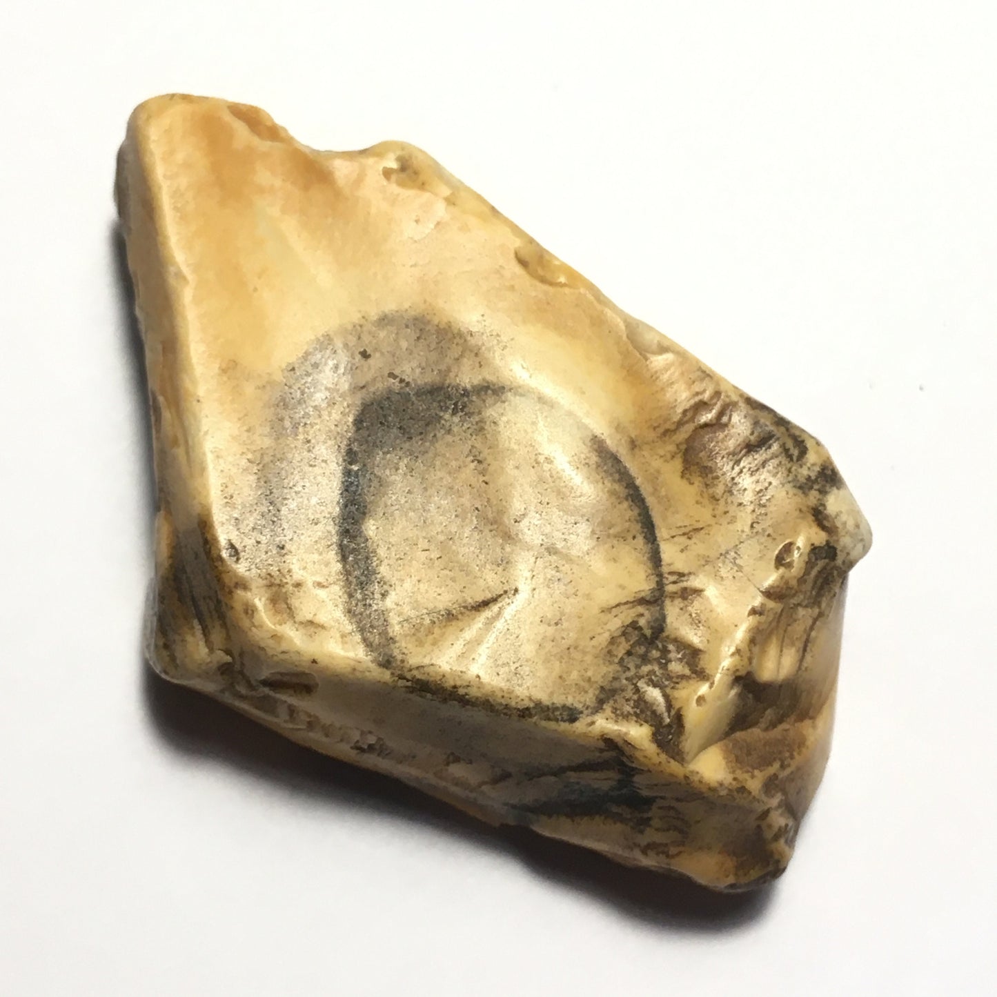 Picture Jasper