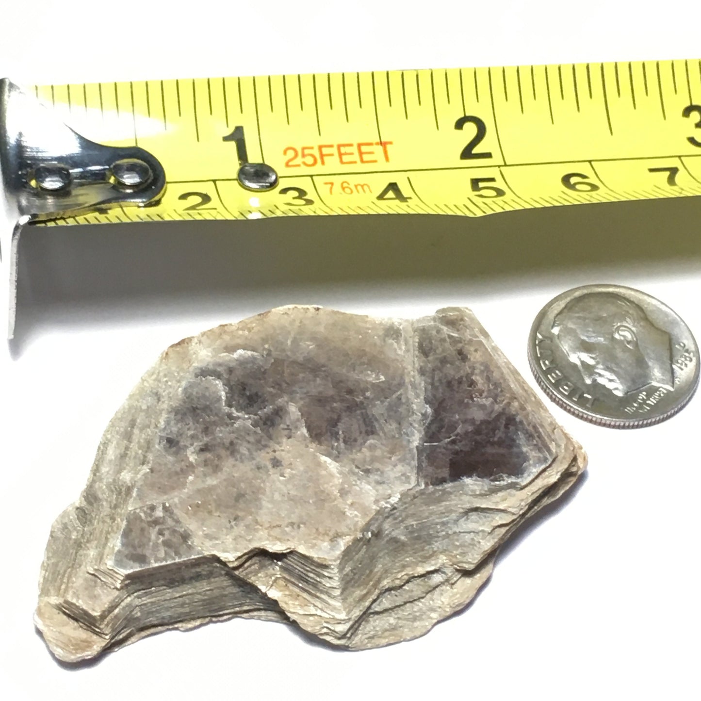 Muscovite