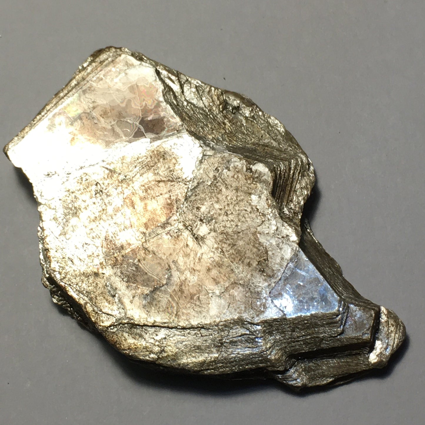 Muscovite