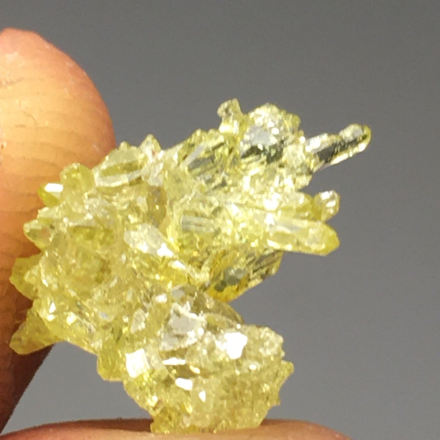 31 Gram Lot of Zincite Crystals (19 Crystals)
