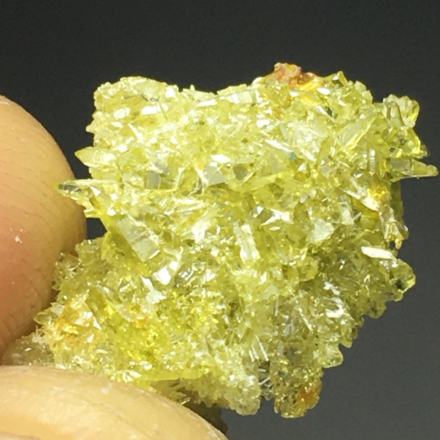 50 Grams Lot of Zincite Crystals (11 pc)