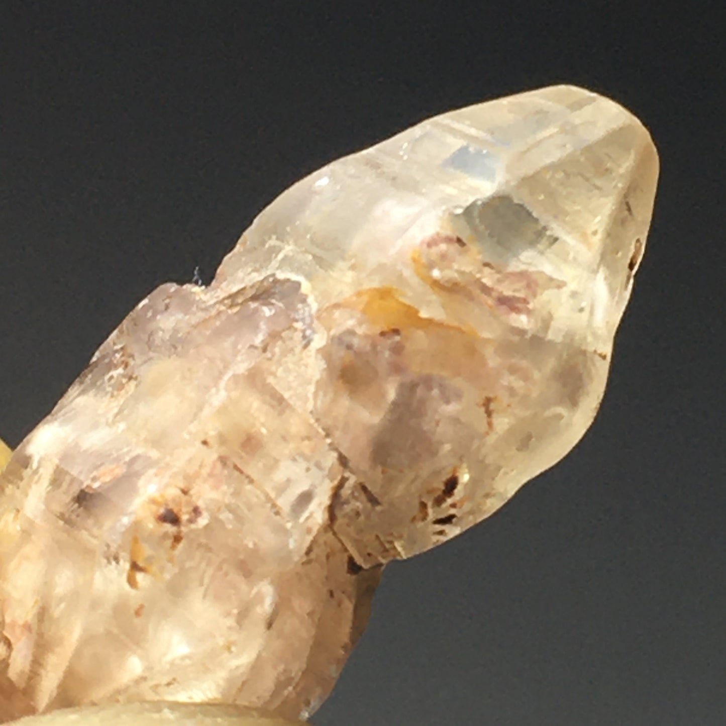 Ceylon Sapphire Natural 11 ct