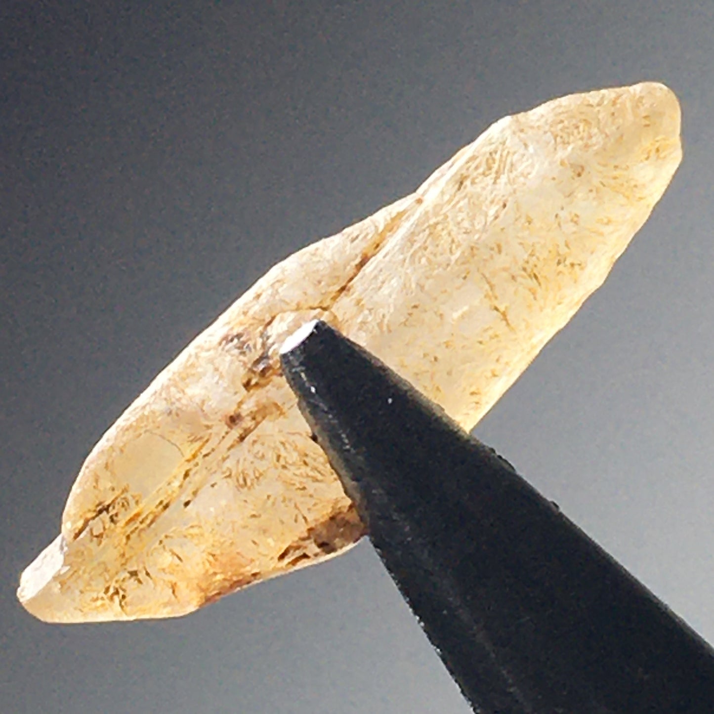 Natural Sapphire  6.28 ct