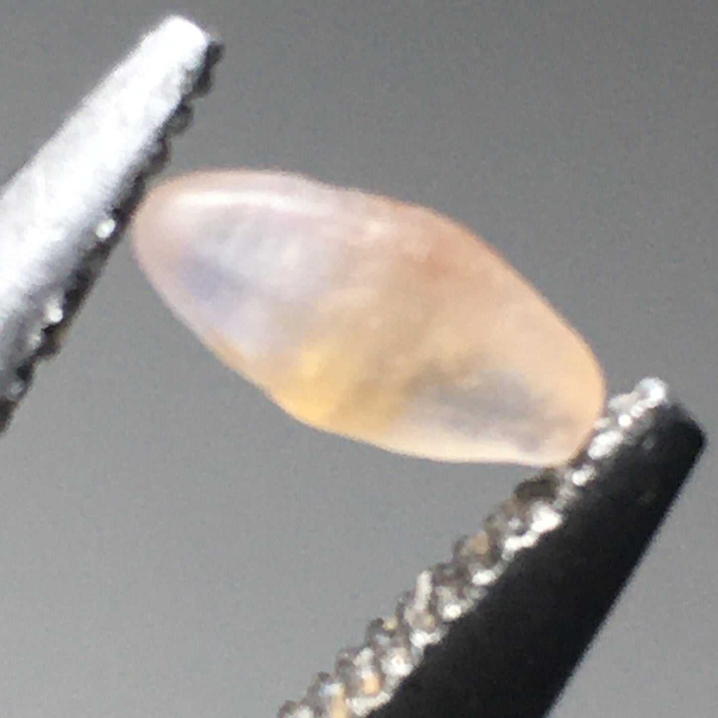 Lot of Ceylon Sapphires 2.825 ct