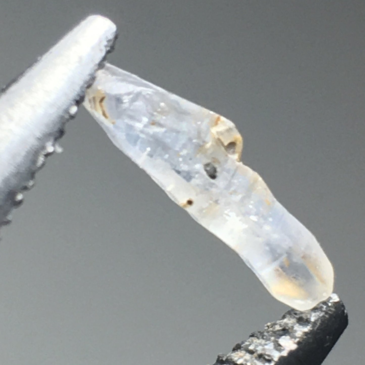 Lot of Ceylon Sapphires 2.81 ct