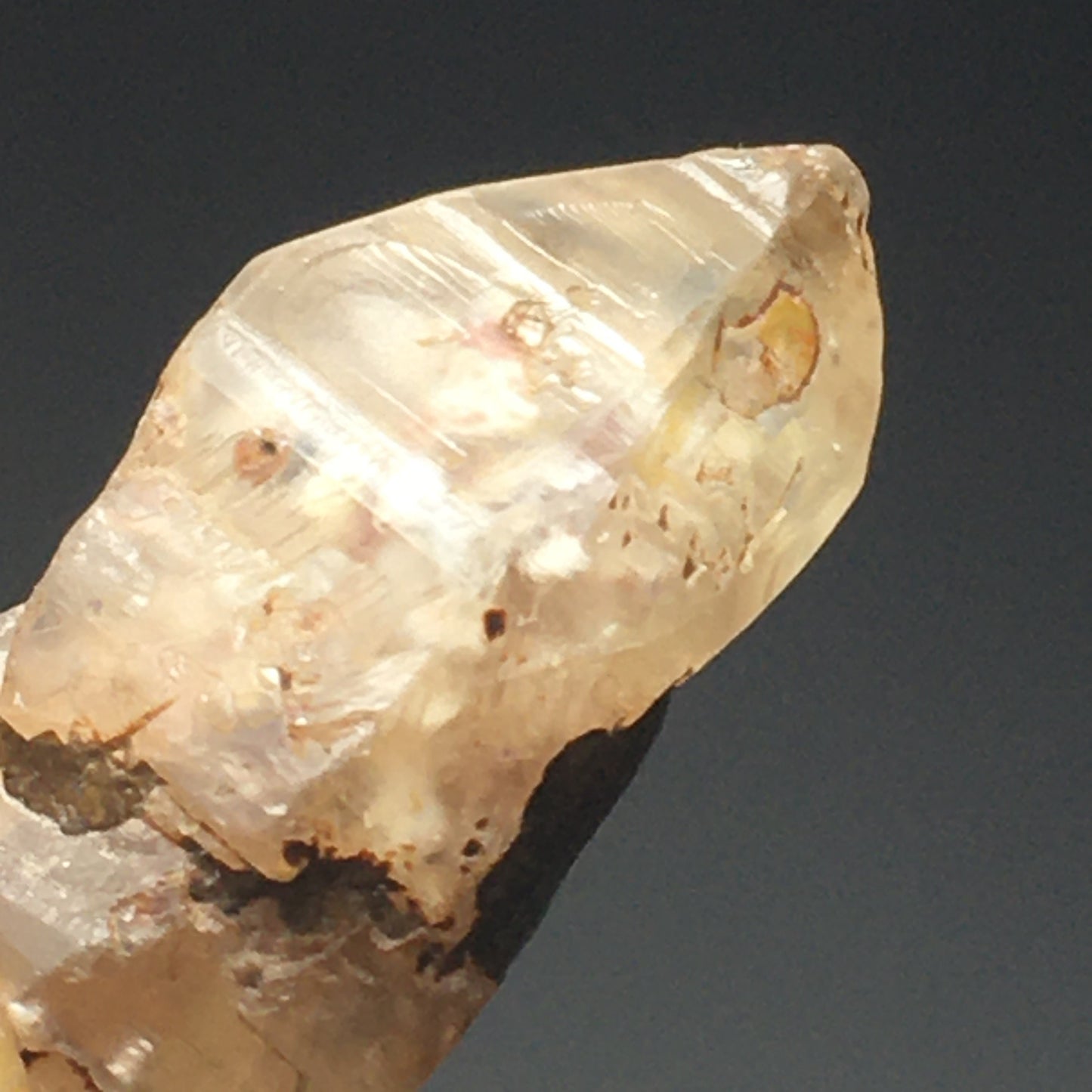 Ceylon Sapphire Natural 11 ct