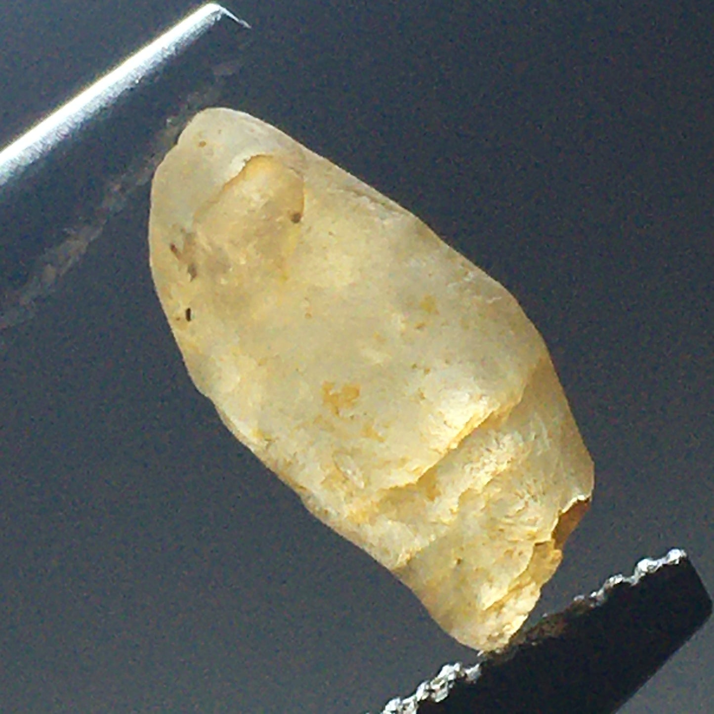 Ceylon Sapphire Natural 3.1 ct