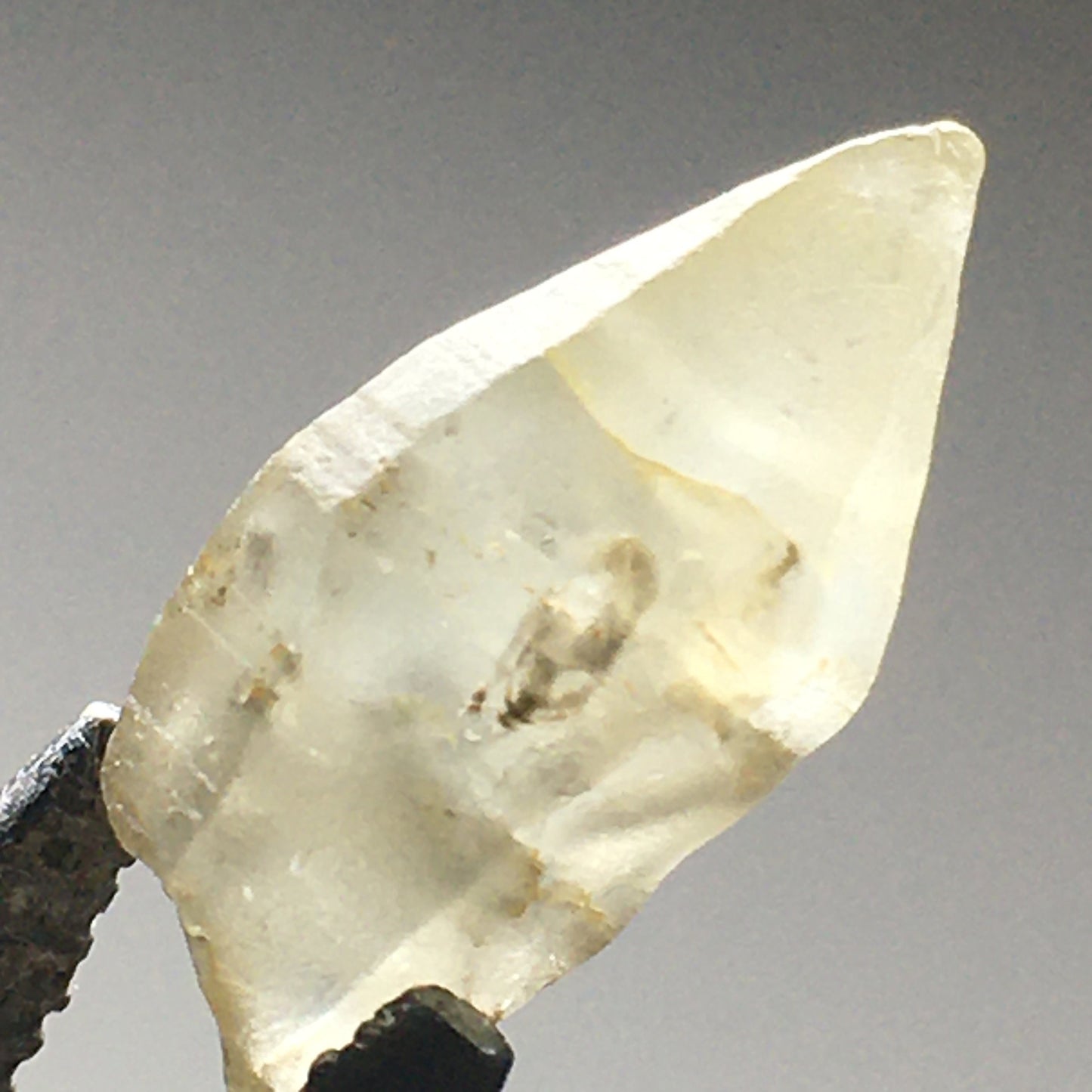 Ceylon Sapphire Perfect Natural  5.5 ct