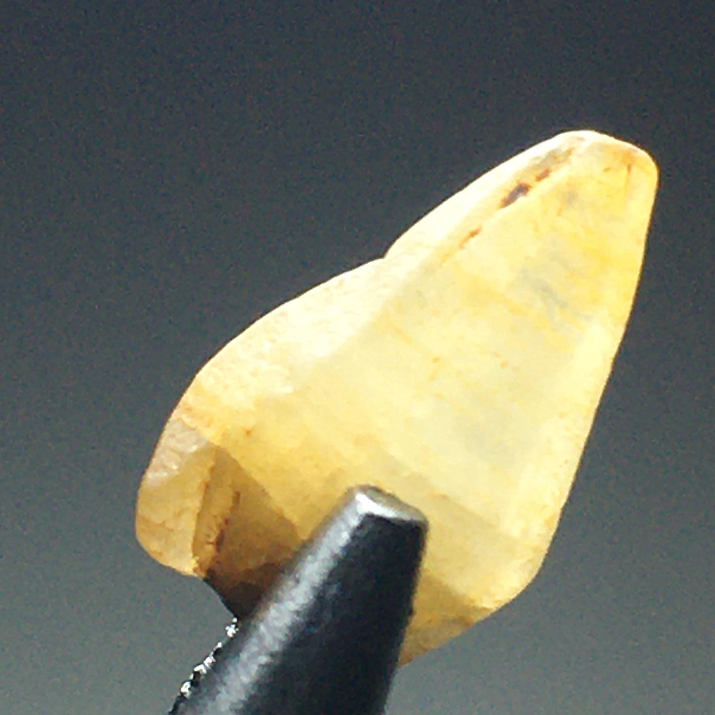 Yellow Sapphire Terminated Point 2.76 ct