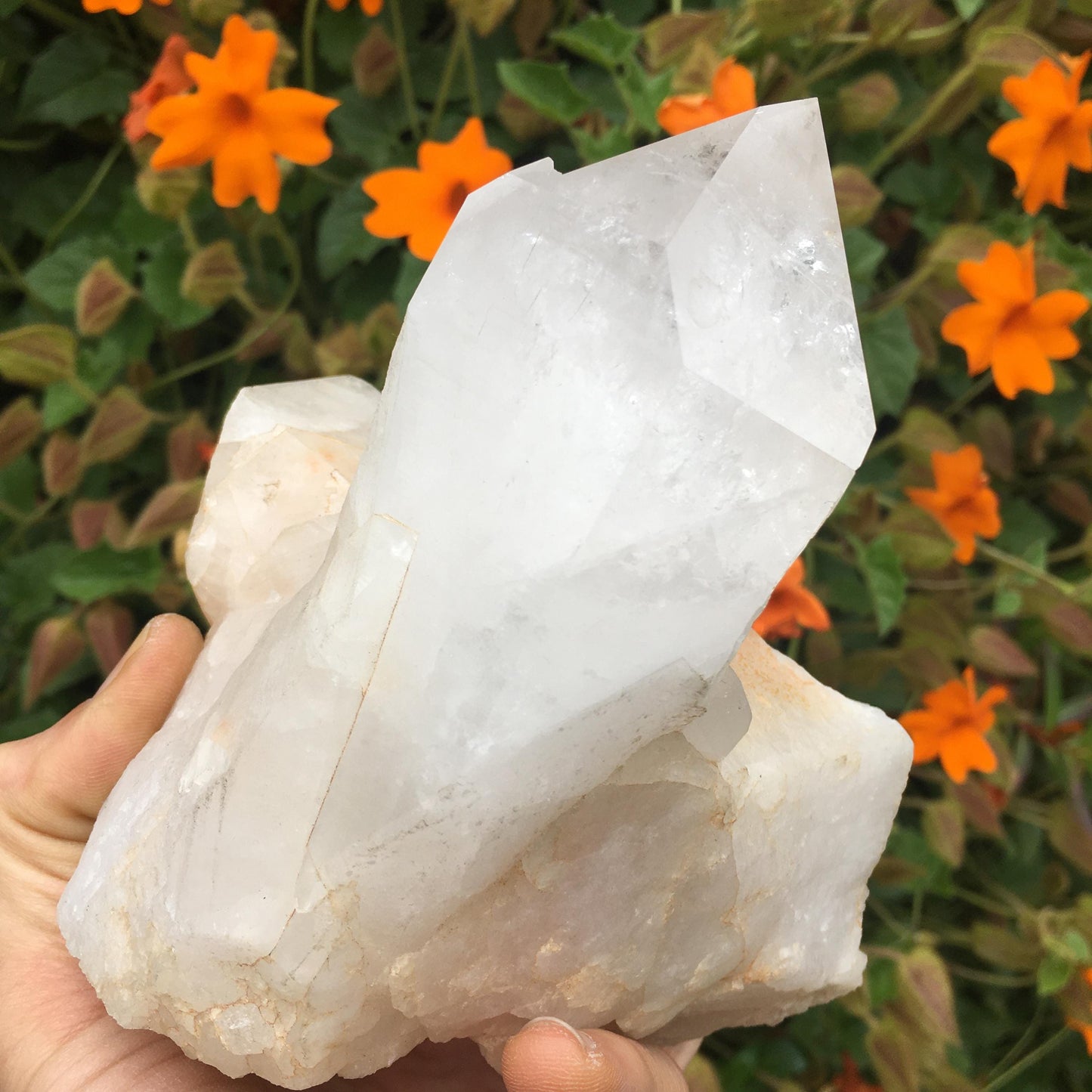 Giant Natural Arkansas Quartz Crystal