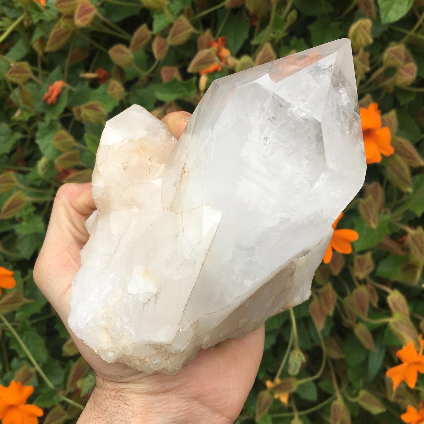 Giant Natural Arkansas Quartz Crystal