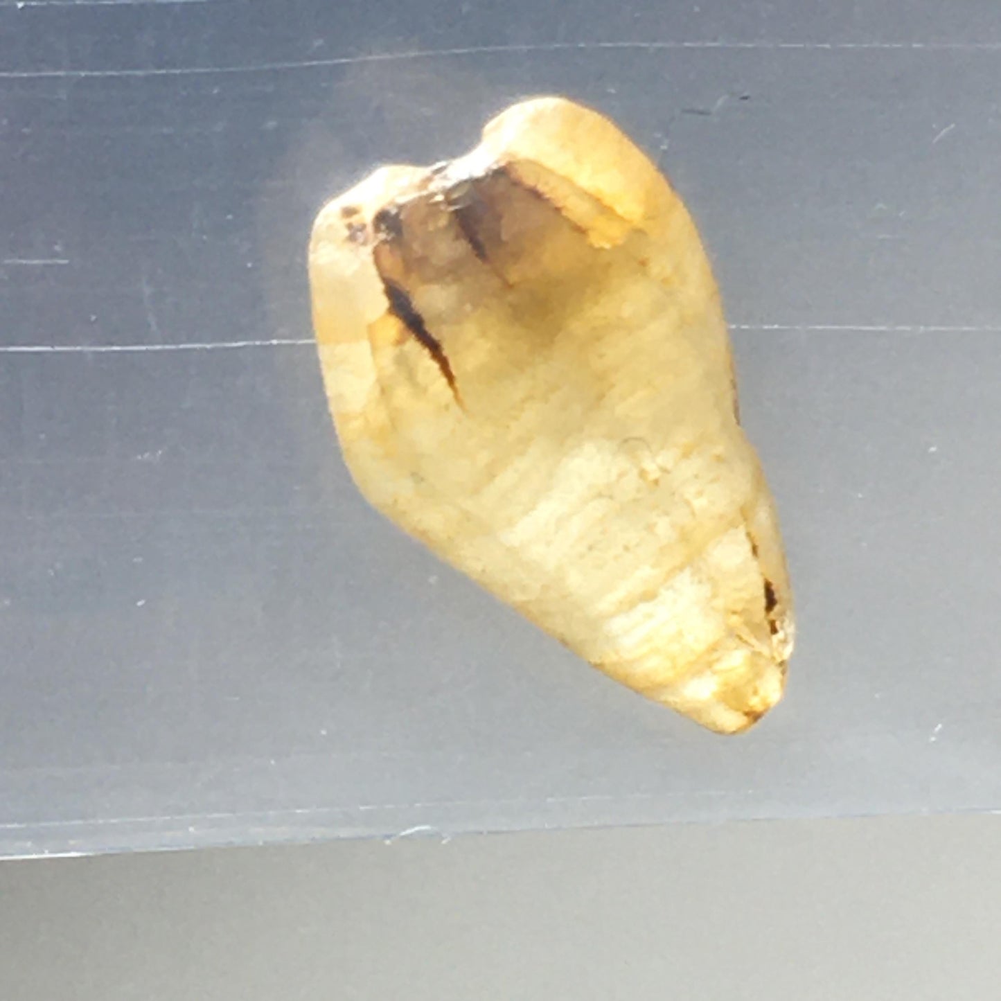 Yellow Sapphire Terminated Point 2.76 ct