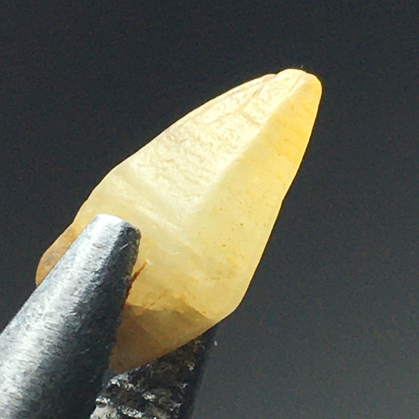 Yellow Sapphire Terminated Point 2.76 ct