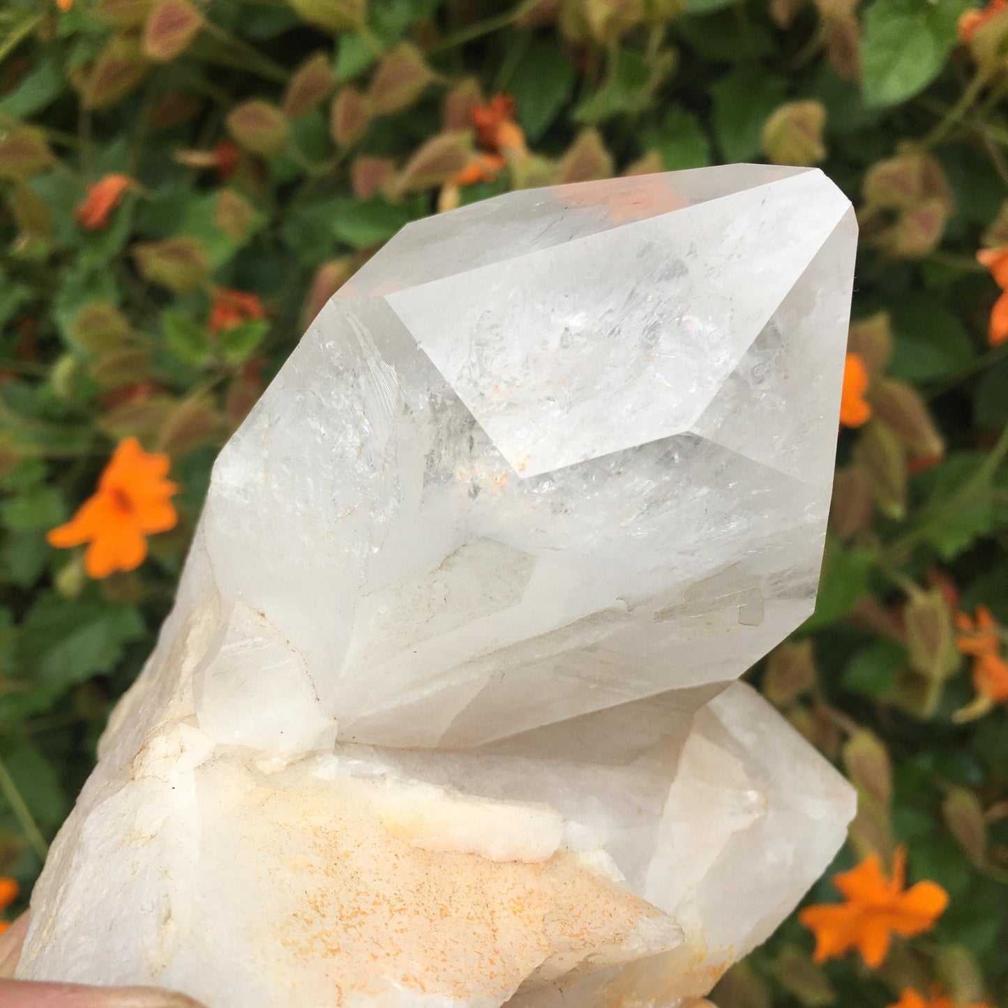 Giant Natural Arkansas Quartz Crystal