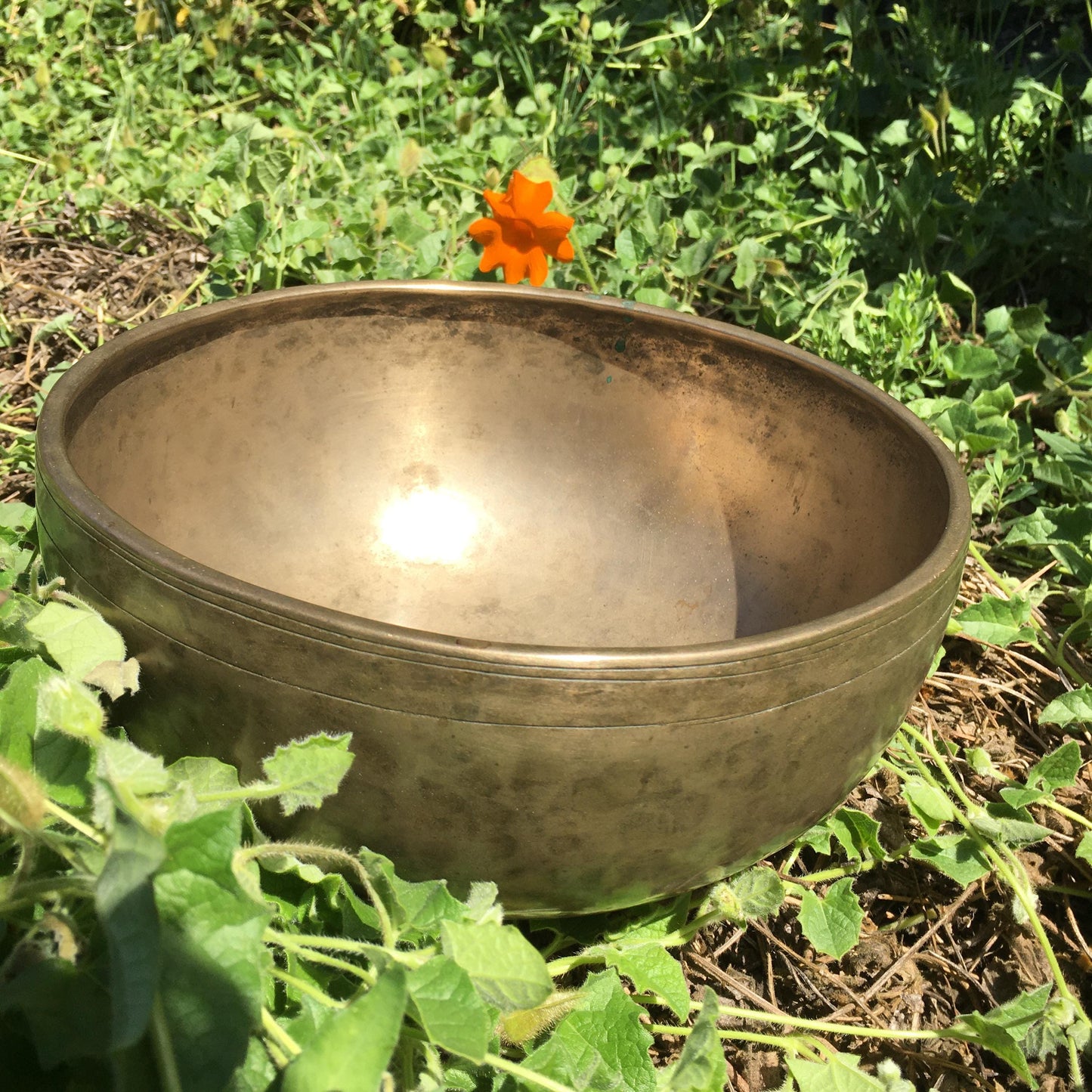 AAA Vintage Hand Hammered Tibetan Singing Bowl 9.75 inches (with video link)